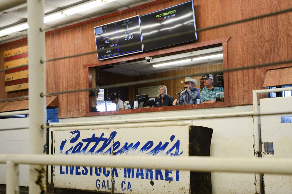 Stories S2, Episode 34 CalResilient